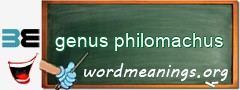 WordMeaning blackboard for genus philomachus